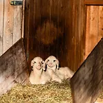 Фермерский дом Wassererlehen