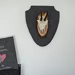 Wassererlehen *