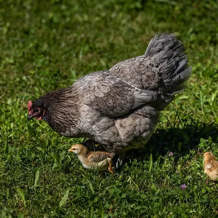 Wassererlehen Bischofswiesen