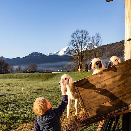 Wassererlehen * Bischofswiesen