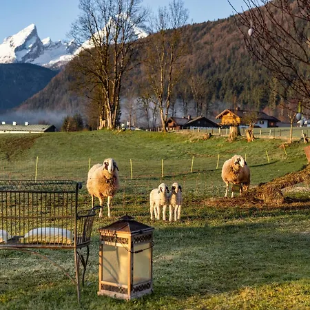 Wassererlehen Farm stay