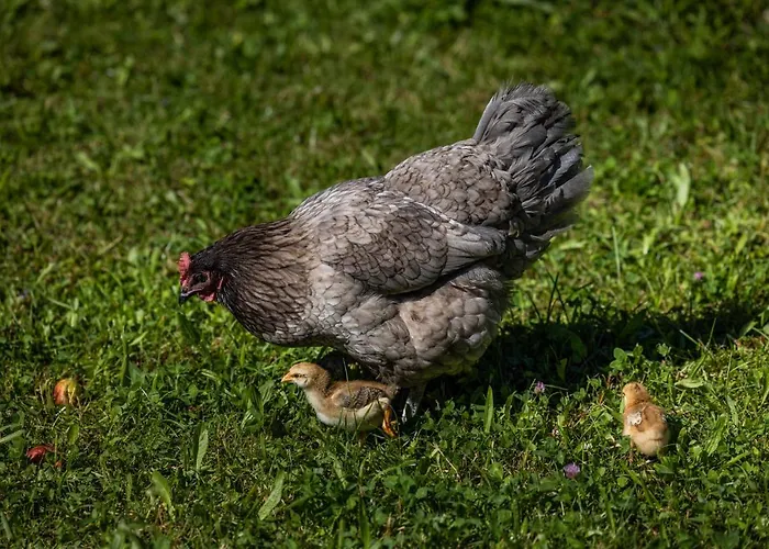 Wassererlehen Bischofswiesen